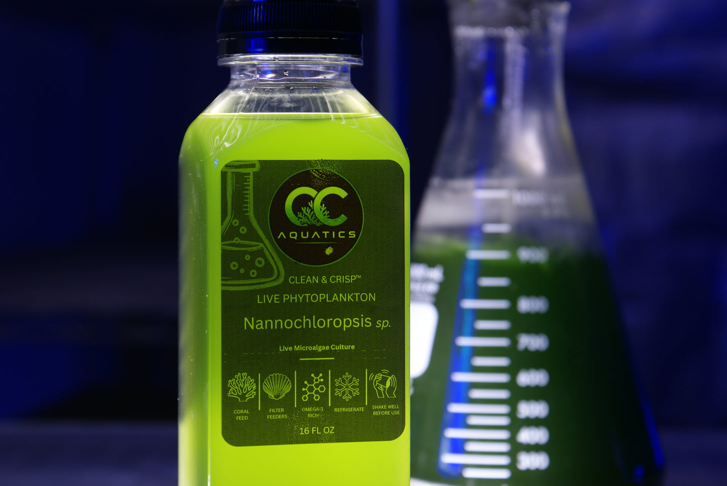 Clean & Crisp - Nannochloropsis Live Phytoplankton | 16 fl oz